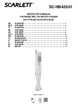 Scarlett SC-HB42S01 Instruction Manual preview