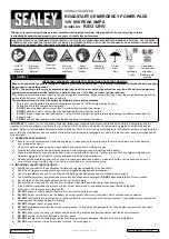 Sealey ROADSTART Instructions preview