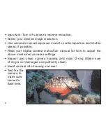 Preview for 10 page of Sealife DIGITAL FLASH Instruction Manual