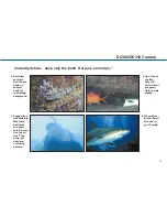 Preview for 11 page of Sealife ReefMaster DC300 Quick Manual