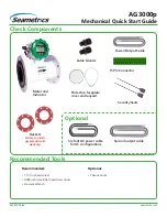 Preview for 1 page of Seametrics AG3000p Quick Start Manual