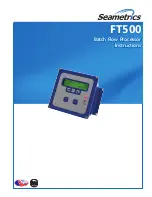 Seametrics FT500 Series Instructions Manual preview