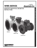 Seametrics WMX SERIES Instructions Manual preview