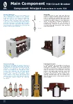 Preview for 10 page of Sel TPS 12kv Manual