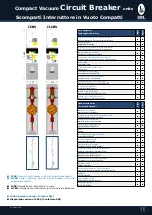 Preview for 19 page of Sel TPS 12kv Manual