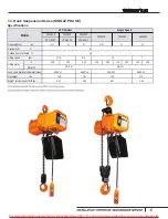 Preview for 13 page of Sievert Crane & Hoist 2230010 Instruction Manual