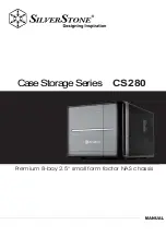 SilverStone CS280 Manual preview