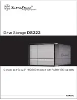 Preview for 1 page of SilverStone DS222 Manual