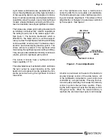 Preview for 207 page of Skytron AURORA LED 5 4000K Installation Instructions Manual