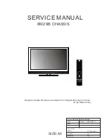 Skyworth 8M29B Service Manual preview