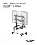 SMART FSSBID 100V Manual preview