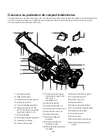 Preview for 29 page of SNOWJOE sunjoe 24V-X2-21LM Operator'S Manual