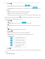 Preview for 43 page of Sojet V1H User Manual