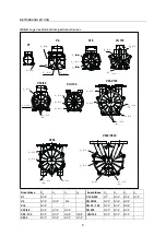 Preview for 9 page of Speck pumpen V 1 Operating Instructions Manual