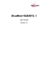 Stollmann BlueMod+B20 User Manual preview