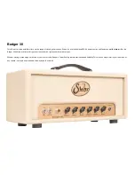 Preview for 2 page of Suhr Badger 30 User Manual