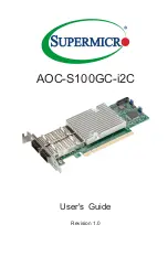 Supermicro AOC-S100GC-i2C User Manual preview