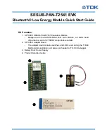 Preview for 1 page of TDK SESUB-PAN-T2541 EVK Quick Start Manual