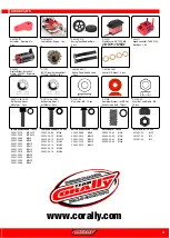 Preview for 21 page of Team Corally PYTHON C-00182 Quick Start User Manual