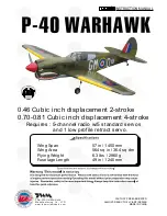 THE WORLD MODELS P-40 Warhawk Instruction Manual preview