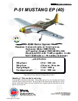 THE WORLD MODELS P-51 MUSTANG EP Instruction Manual preview