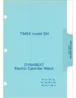 Timex DYNABEAT 254 Service Manual preview