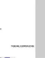 Preview for 30 page of Toshiba 21VZ3E Service Manual