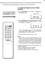 Preview for 19 page of Toshiba CH20D02 Owner'S Manual