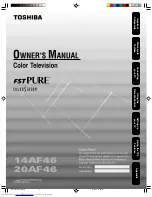 Toshiba FSTPURE COLORSTREAM 14AF46 Owner'S Manual preview