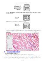 Preview for 7 page of ToupTek HDMI 4K Series Help Manual