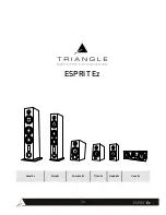 Preview for 24 page of TriangleTube ESPRIT Ez Owner'S Manual And Warranty