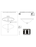 Triarch Indoor Lighting 33196 Instructions preview