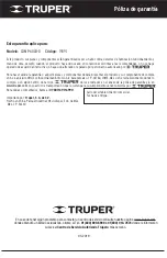 Preview for 10 page of Truper 19391 Manual