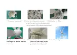 Preview for 15 page of Tumo-Int 3000W 5Blades User Manual