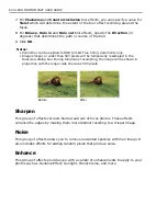 Preview for 80 page of Ulead PHOTOIMPACT 11 User Manual