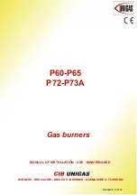 Unigas P60 Series Installation, Use And Maintenance Manual preview