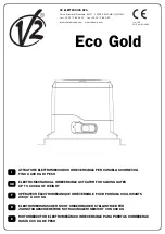 V2 ELETTRONICA Eco Gold Manual preview