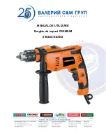 Preview for 12 page of VALERII S&M GROUP PREMIUM 0503GX-EID043 User Manual