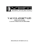 Preview for 1 page of VHT Valvulator GP3 Preliminary Owners Manual