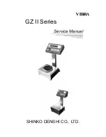 Preview for 1 page of Vibra GZ II Series Service Manual