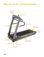 Preview for 12 page of Vision Fitness T1450 Brochure & Specs