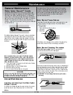 Preview for 25 page of Weber Genesis Platinum C Owner'S Manual