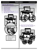 Preview for 48 page of Weber Summit Gold D 42080 Owner'S Manual