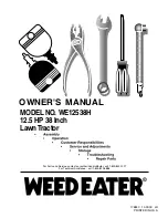 Weed Eater 176840 Owner'S Manual preview