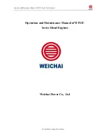 WEICHAI WP13C450-18 Operation And Maintenance Manual preview