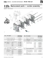 Preview for 63 page of Weil-McLain CGi 4 Series Manual