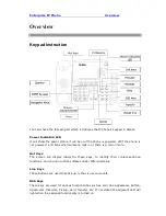 Preview for 13 page of Well Well SIP-T28 User Manual