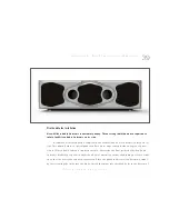 Preview for 39 page of WILSON AUDIO Subsonic Installation And Care Manual