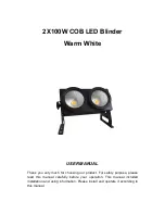 Winlite WB-2100 User Manual preview