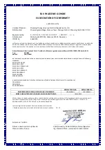 Preview for 13 page of Worcraft PROFESSIONAL CLBV-S40Li Instruction Manual